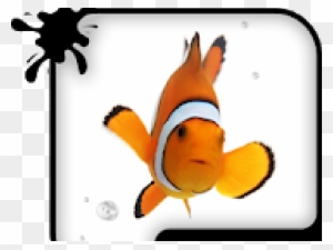 Pictures Of Animated Fish - Clownfish