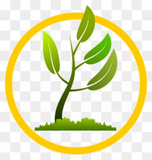 Free Vector Graphic - Small Plant Growing Png