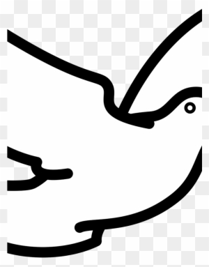 dove pigeon silhouette black