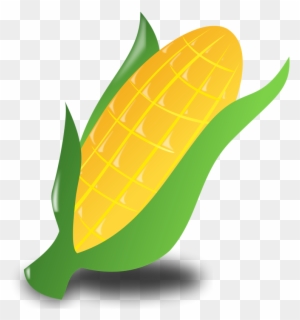 Illustration Of An Ear Of Corn - Corn Clip Art