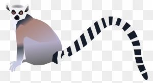 Animal Tail Clipart, Transparent PNG Clipart Images Free Download - ClipartMax Animal Tail Clipart, Transparent PNG Clipart Images Free Download - ClipartMax