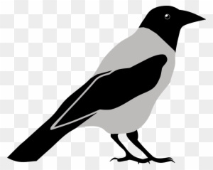 Crow Clipart Black And White - Crow Black And White Clipart