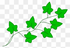 Ivy Vine Clip Art At Clker Com Vector Clip Art Online - Cartoon Poison Ivy Plant