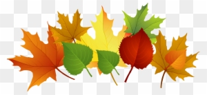 Fall Leaf Clip Art Free Cliparts That You Can Download - Clip Art Free Fall Leaves