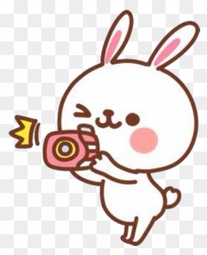 Rabbit Easter Bunny Cuteness Cartoon Animal - 可愛 兔子