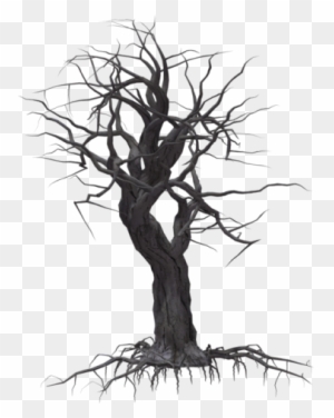 Spooky Tree Clipart - Creepy Tree Transparent Background