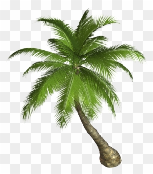 Free High Resolution Graphics And Clip Art Ovqvs9 Clipart - Palm Tree Clip Art