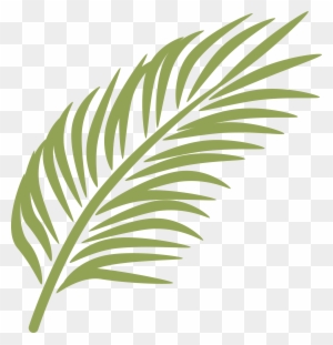 Palm Branch Palm Sunday Arecaceae Clip Art - Palm Leaves Clip Art