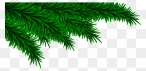 Pine Clipart Transparent - Christmas Pine Decoration Png