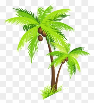 Palm Tree Clipart Image - Transparent Coconut Tree Png