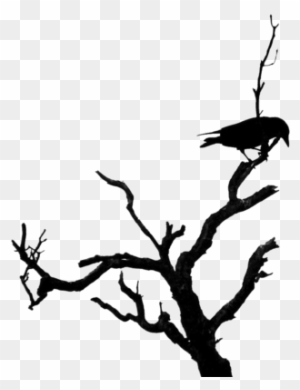 Deluxe Dead Tree Clipart Dead Tree Silhouette Clipart - Bird On Dead Tree