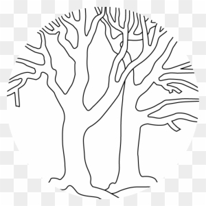 Bare Trees Outline - Coloring Book