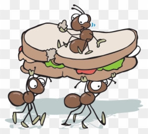 The Scavengers And Decomposers Help Move Energy Through - Ants At A Picnic