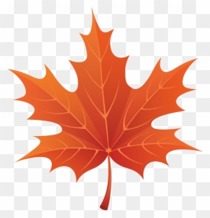Drawn Maple Leaf Transparent - Autumn Leaf Clipart