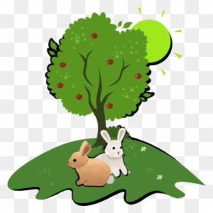 Ecology
