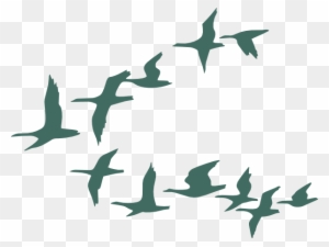 Teal Flock Of Geese Clip Art At Clker - Flock Of Birds Clip Art
