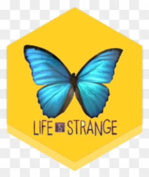 Load 5 More Imagesgrid View - Life Is Strange Butterfly