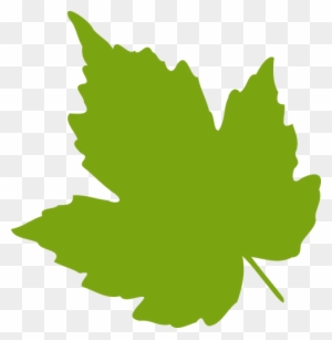 Green Maple Leaf Vector Image Public Domain Vectors - Grape Leaf Clip Art