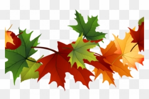 Leaves Clipart Transparent Background - Autumn Leaves Transparent Background