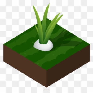 When You Start Your Garden, It's Natural To Have Lots - Grass