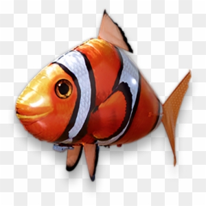 air swimmers target