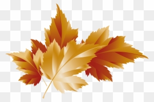 Fall Transparent Leaves Decor Picture - Maple Leaf