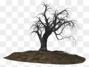 Creepy Tree 21 By Wolverine041269 On Clipart Library - Creepy Tree 21