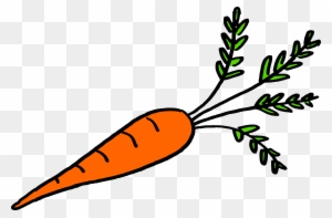 Carrot - Fruit And Vegetables That Grow Underground