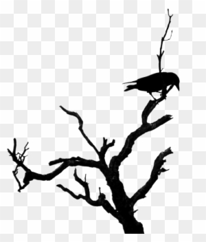 Share This Image - Bird On Dead Tree