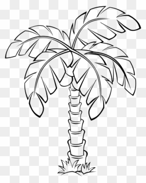 Medium Image - Palm Tree Outline Clip Art