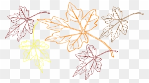 Clip Art Family Tree Outline Download - Fall Leaves Outline Png