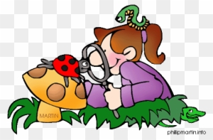 Observe Clipart, Transparent PNG Clipart Images Free Download - ClipartMax