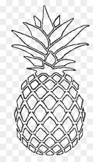 Pineapple Drawing Related Keywords & Suggestions - Pineapple Draw - Free Transparent PNG Clipart Images Download Pineapple Drawing Related Keywords & Suggestions - Pineapple Draw - Free Transparent PNG Clipart Images Download