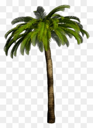 / Pixels, Palm Trees On The Beach - Palm Png