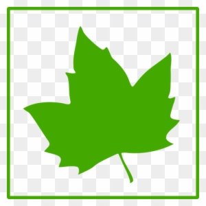 Eko Yaprak Vektör Simgesi - Green Maple Leaf Icon