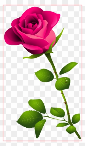 Rose Flower Rose Flower Images P Amazing Pink Rose - Happy Rose Day Image Download