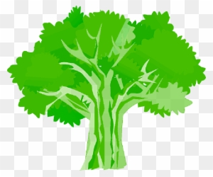 Tree, Environment, Ecology, Nature, Plant - Oak Tree Clipart Hd