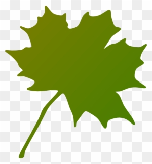 Maple Leaf Green - Maple Leaf Green - Free Transparent PNG Clipart ...