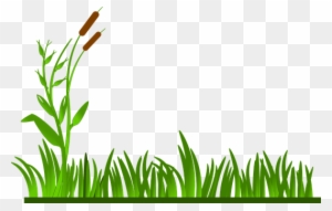 Grass Lawn Green Cat O' Nine Tails Plants - Grass Border Clipart