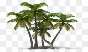 View In My Picture - Palm Trees Png