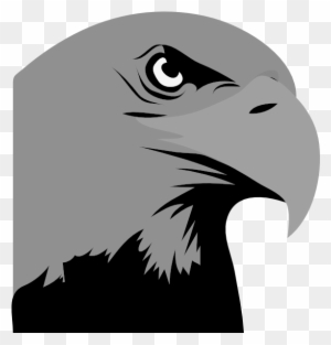 Hawk Head Logo Clip Art At Bclipart Com Vector Clip - Bald Eagle Clipart