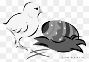 Easter Chick Animal Free Black White Clipart Images - Ostern-küken Und Gemaltes Ei Karte