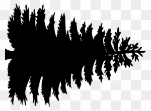 Large Pine Tree Clip Art At Clker Com Vector Clip Art - Christmas Tree Silhouette Vector