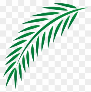 Leaf Euclidean Vector - Palm Branch