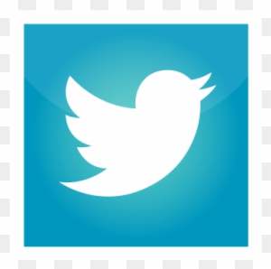 Demo Demo Demo Demo - Twitter Logo Square Vector