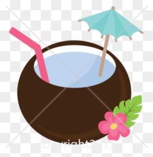 Coconut Drink- - Coconut Water