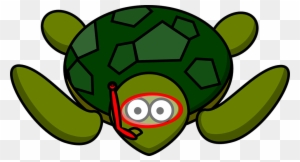 Turtle Animal Nature Water Wildlife Green - Cartoon Turtle Png