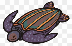 Turtle Clipart - Leatherback Sea Turtle Cartoon