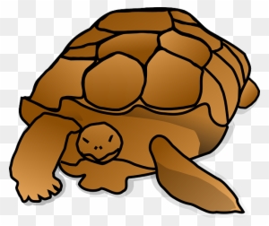 Cartoon Snapping Turtle Png