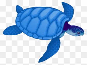 Free Sea Turtle Clipart Image - Sea Turtle Clip Art Blue